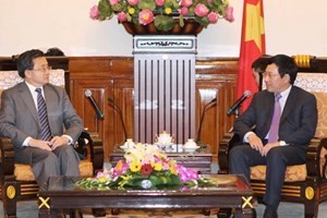 Vietnam-Chine : réunion plénière sur les frontières communes - ảnh 1